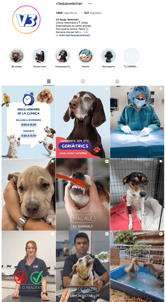 Cuadrícula del perfil de Instagram de V3 Equip Veterinari